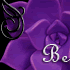 Bewitch