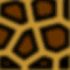Brown leopard