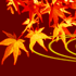Maple