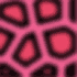 Pink leopard