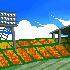 stadium