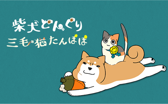 柴犬どんぐり三毛猫たんぽぽ