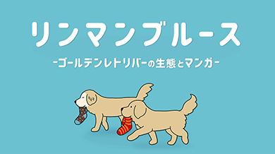 リンマンブルース