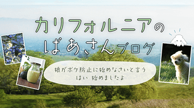 カリフォルニアのばあさんブログ