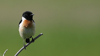 ようこそ軽井沢へ！