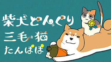 柴犬どんぐり三毛猫たんぽぽ