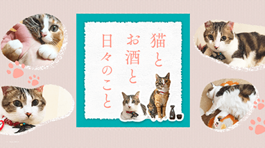 猫とお酒と日々のこと