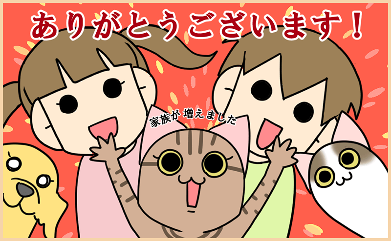 moroの家族と、ハンドメイドと。