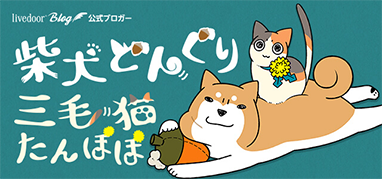 柴犬どんぐり三毛猫たんぽぽ