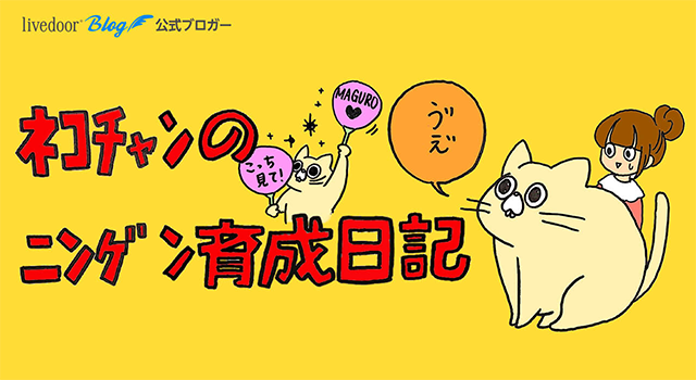 ﾈｺﾁｬﾝのﾆﾝｹﾞﾝ育成日記