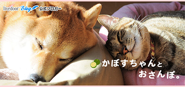 かぼすちゃんとおさんぽ。