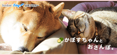 かぼすちゃんとおさんぽ。