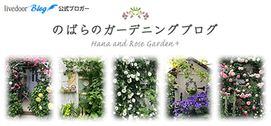のばらのガーデニングブログ　Hana and Rose Garden+