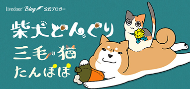 柴犬どんぐり三毛猫たんぽぽ