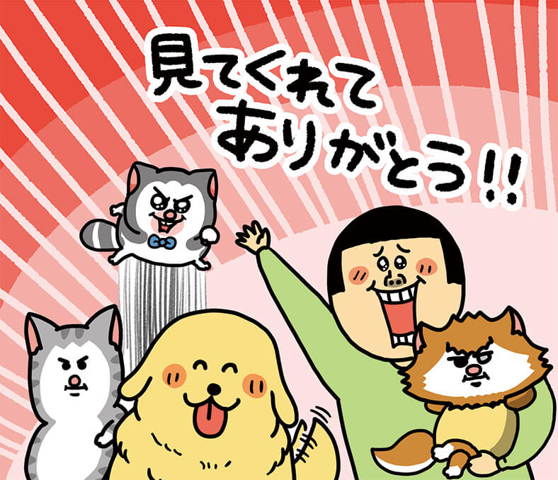 まめきちまめこ