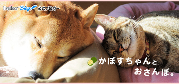 かぼすちゃん と かぼすママ