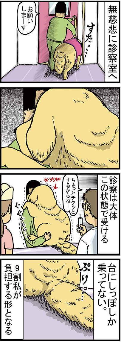 こまちがどうぶつ病院に行った時の様子2