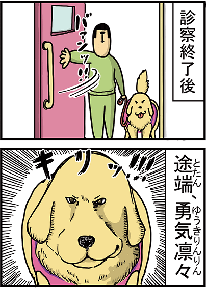 こまちがどうぶつ病院に行った時の様子3