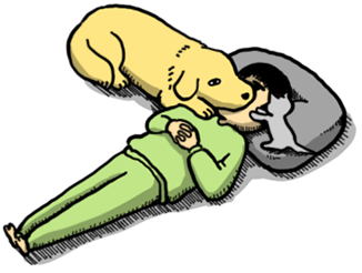 まめこちまめこ